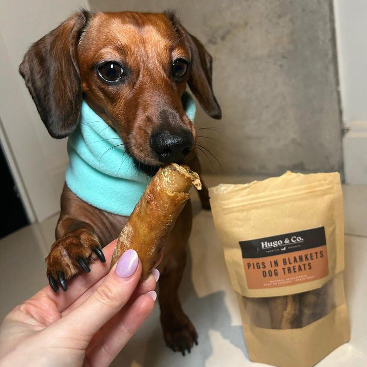 Pigs In Blankets Dog Treats