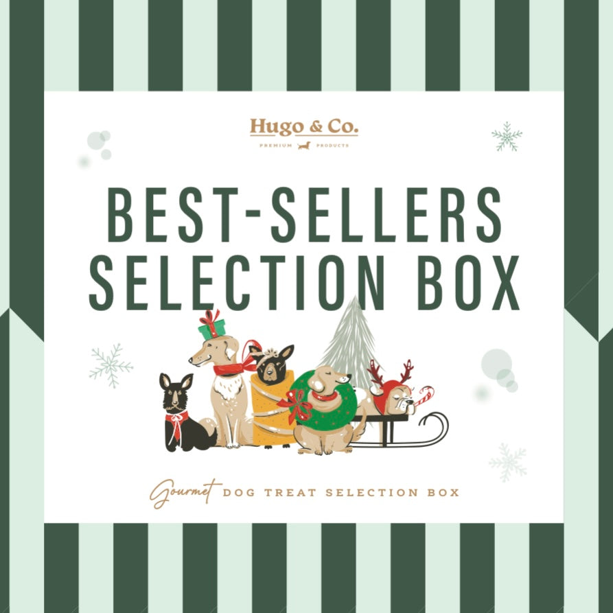 Best Sellers Dog Treat Selection Box
