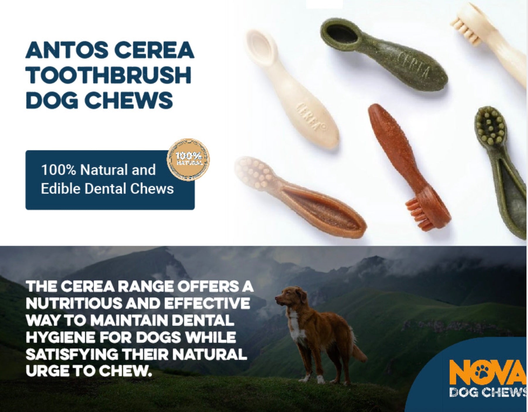 Nova Dog chews - TOOTHBRUSH (M-15cm)