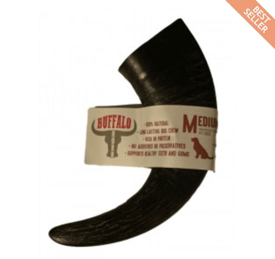 Buffalo Horn - Medium