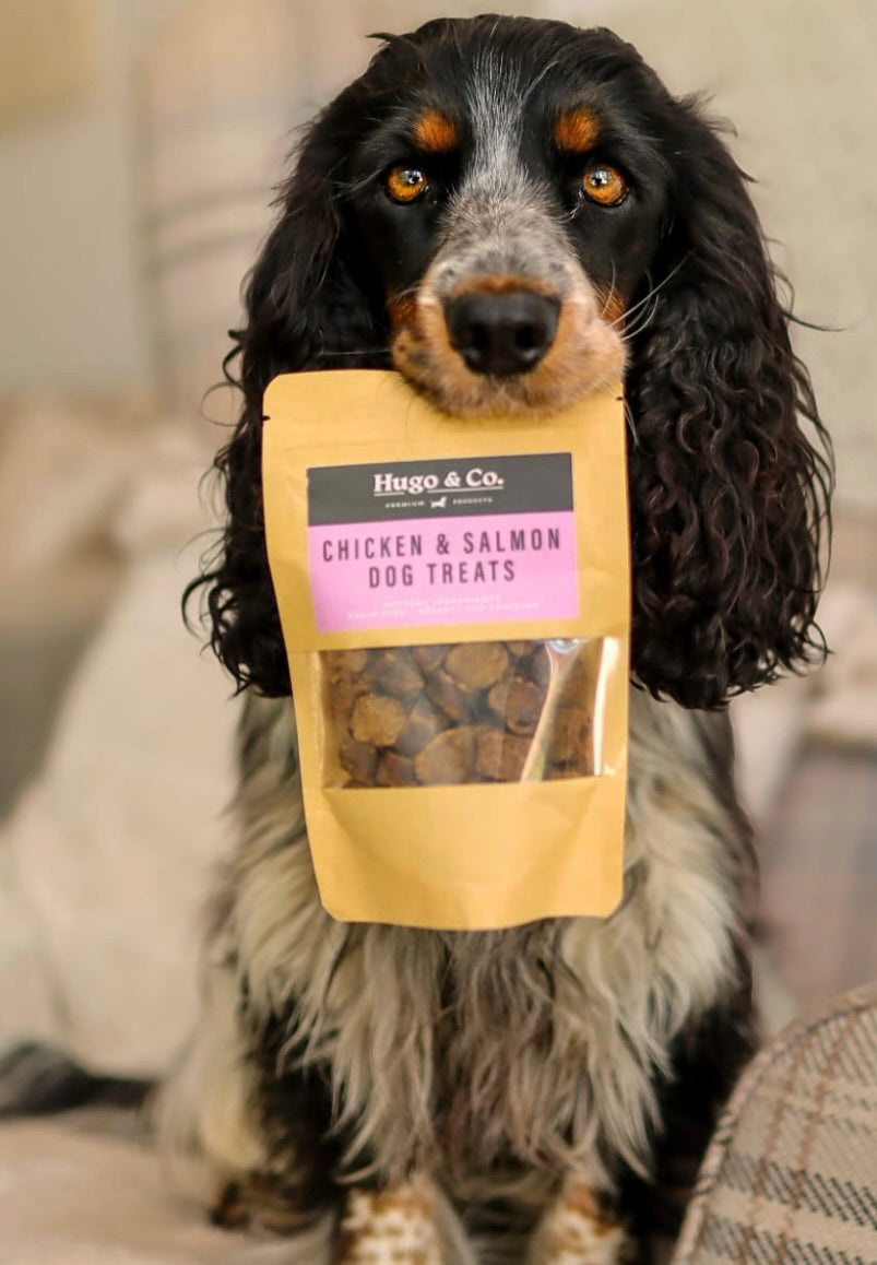 Salmon & Chicken Dog Treats - 75g